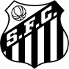 https://img.jxhny.com/img/football/team/674171a5ca8e8fd3a9784bec35afb185.png